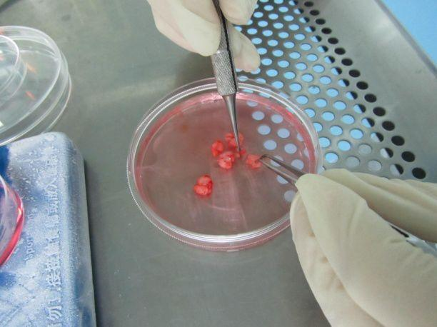 世界杯竞猜（中国）官方网站
