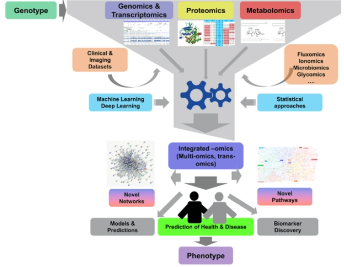 <strong>多组学数据联合分析</strong>